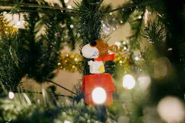 Decorazioni natalizie fatte in casa: 5 idee per gli addobbi